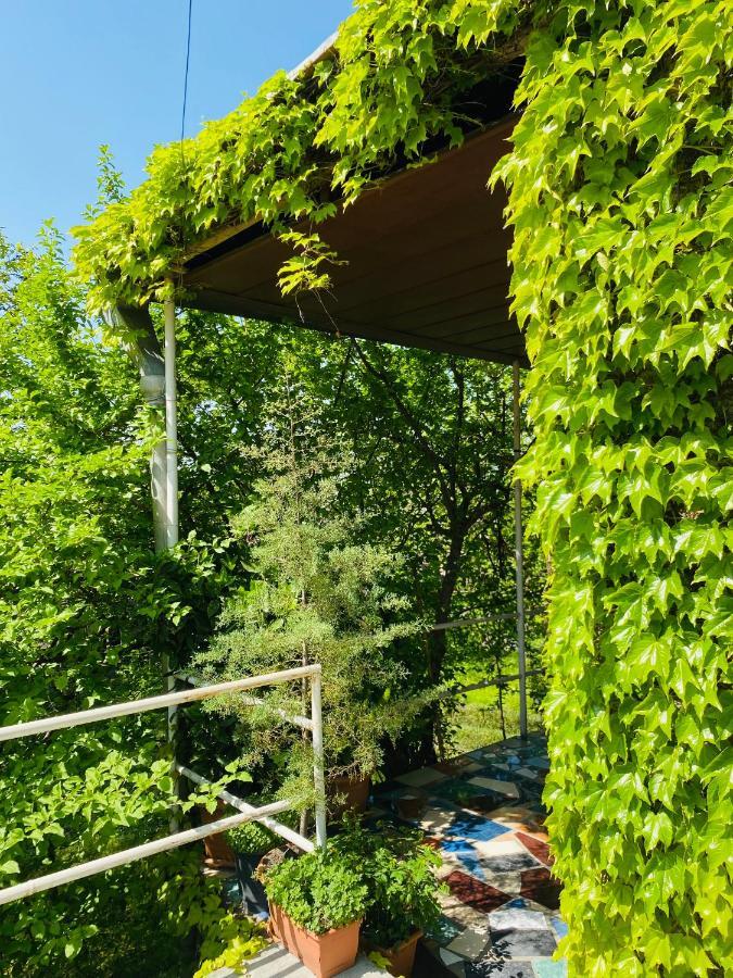 Green House Hotel Lagodekhi Buitenkant foto
